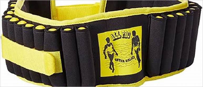 Weighted exercise belt